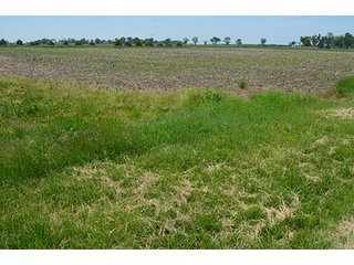 Property photo 4 - 4 Trupointe Agronomy Locations + Assorted Chemical & Fertilizer Tanks